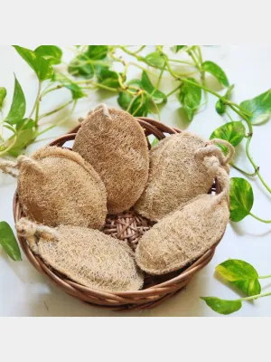 Natural Plant Based Bathing Sponge - Set Of 5